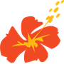 Air Caledonie International