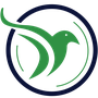 African Express logo