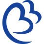 Bluebird Airways logo