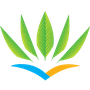 Air Caraïbes logo