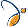 HiSky logo
