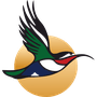 South African Airlink