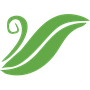 MASwings logo