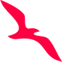 Air Arabia Egypt