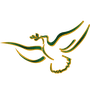 Southern Air Charter