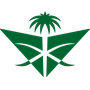 Saudi Arabian Airlines
