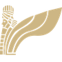 United Airways logo
