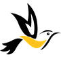 Turpial Airlines
